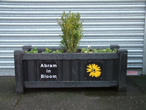 Abram In Bloom 2008