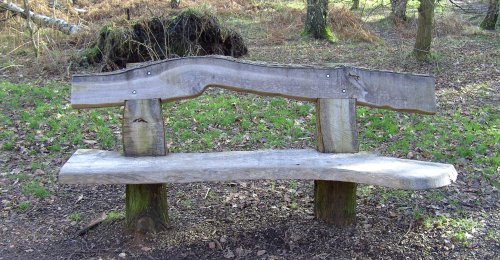 Sherwood Forest Seat, Mansfield, Nottinghamshire