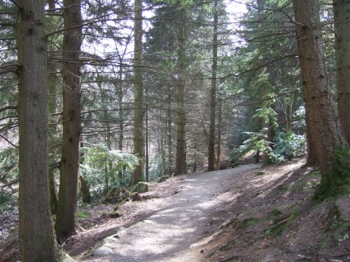 On the track to Aira Force