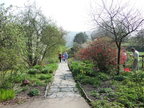 The garden at Hill Top, Near Sawrey, Cumbria