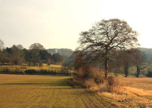 Brantingham Dale View, East Riding of Yorkshire
