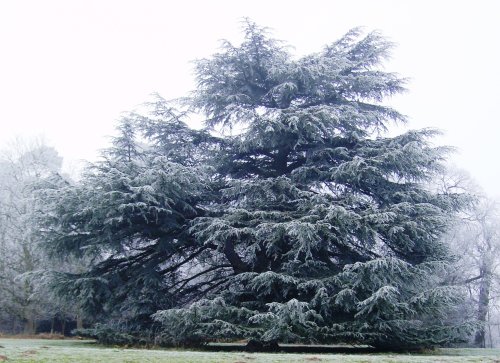 Winterland, Worksop, Nottinghamshire