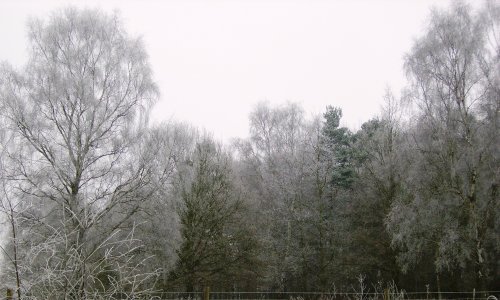 Winterland, Worksop, Nottinghamshire
