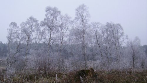 Winterland, Worksop, Nottinghamshire