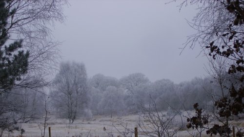 Winterland, Worksop, Nottinghamshire