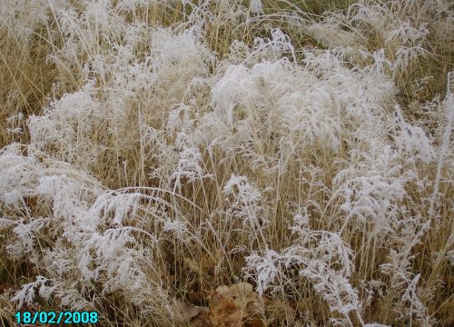 Winterland, Worksop, Nottinghamshire