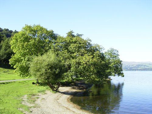 Windermere, west bank opposite Bowness Bay, winter afternoon,