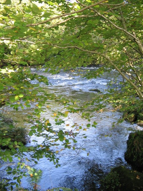 October, the Brathay River, nr. Ambleside,Cumbria.