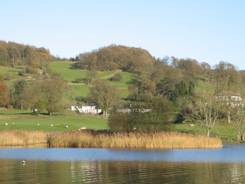 Late Autumn afternoon at Esthwaite Water. Near Sawrey, Cumbria.