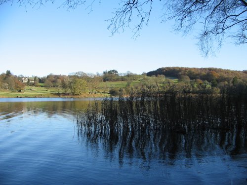 Late Autumn Afternoon at Esthwaite Water, Near Sawery. Cumbria.