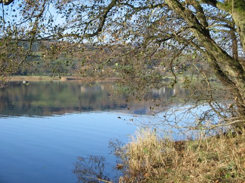 Late Autumn Afternoon at Esthwaite Water, Near Sawery. Cumbria.