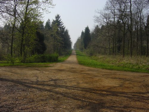 Maulden Woods