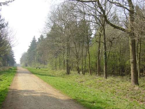 Maulden Woods