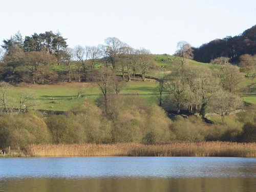 Autumn afternoon at Esthwaite Water, nr Near Sawrey.