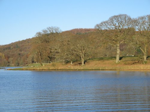 Autumn afternoon at Esthwaite Water, nr Near Sawrey.