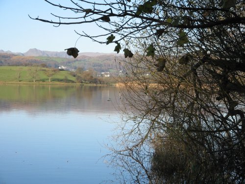 Autumn afternoon at Esthwaite Water, nr Near Sawrey.