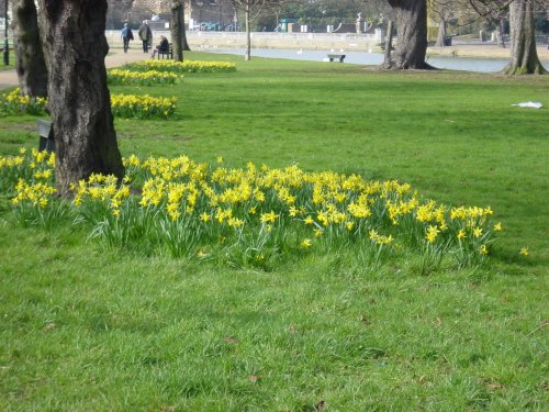 Bedford river bank