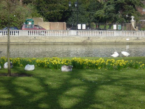 Bedford riverbank