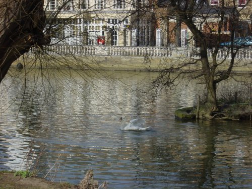 Bedford river