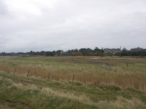 Nautical College with Nature Reserve in foreground, Warsash, Hampshire