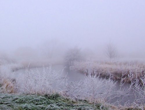 Frosty Morning In Gamston, Nottinghamshire