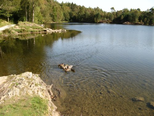 Tarn Hows, Cumbria.