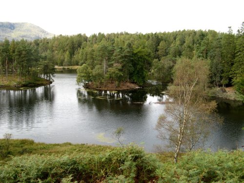Tarn Hows, Cumbria. September 2007.