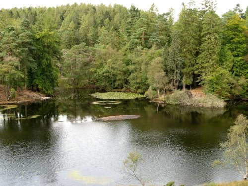 Tarn Hows, Cumbria. September 2007.