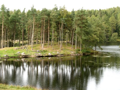 Tarn Hows, Cumbria. September 2007.