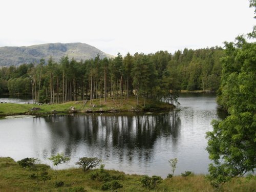 Tarn Hows, Cumbria. September 2007.