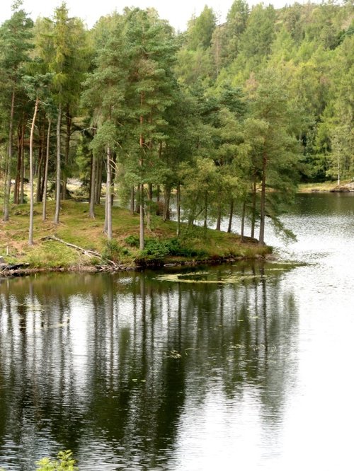 Tarn Hows, Cumbria. September 2007.