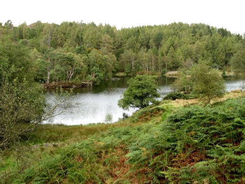 Tarn Hows, Cumbria. September 2007.