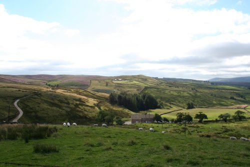 Newton Fell