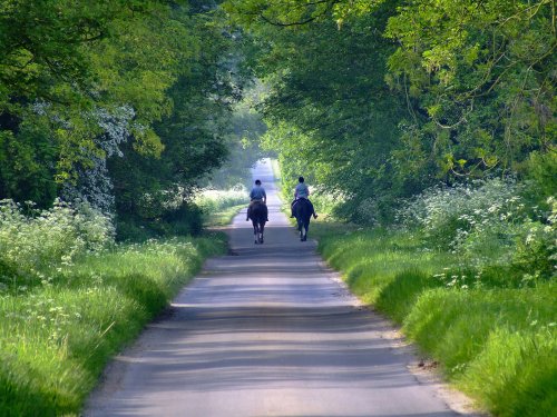 A gentle walk down a country lane, Bishop Burton, East Riding of Yorkshire