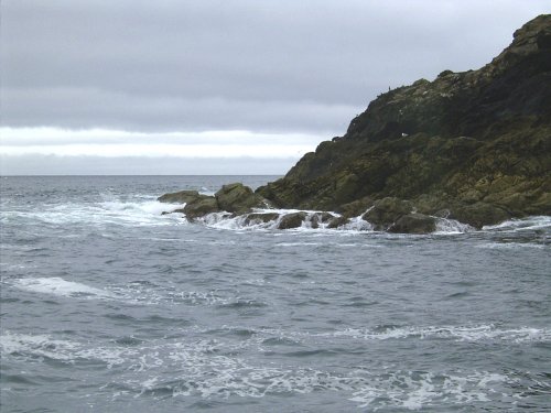 Puffin Island  nr Padstow,Cornwall.