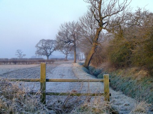 The wetlands, North Cave, East Riding of Yorkshire