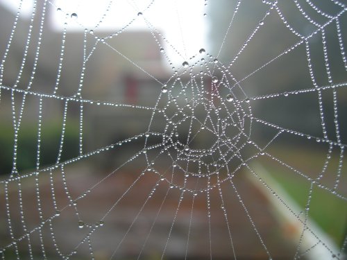 Dew Drops, Wheatley, Oxfordshire