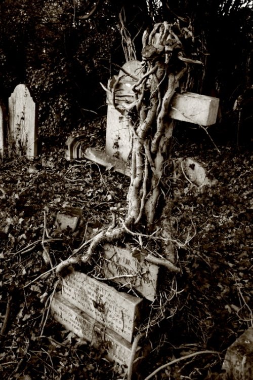 Crematorium at Elmers End, Beckenham, Kent