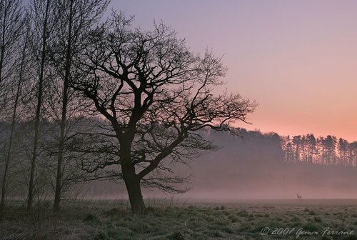 Dawn at Long Hanborough, Oxfordshire