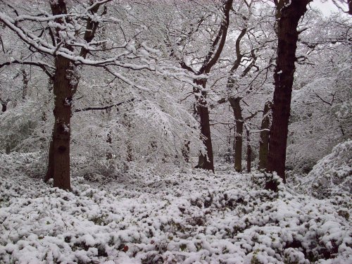 April snow, Sudbury, Greater London