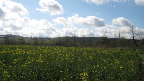 Barton le clay, Bedfordshire