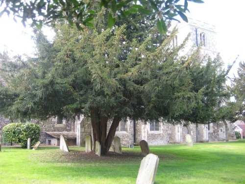St Nicholas' churchyard, Barton le Clay