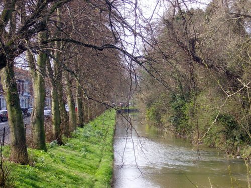 River Skerne, Darlington, County Durham