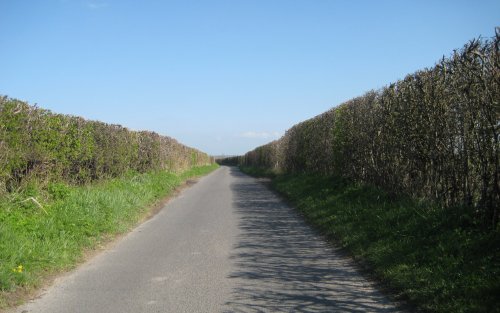 English country lane