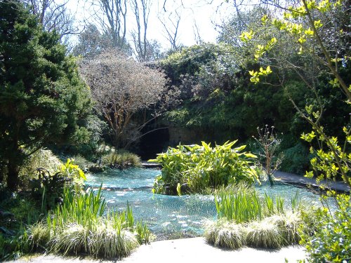 Highdown Gardens ponds