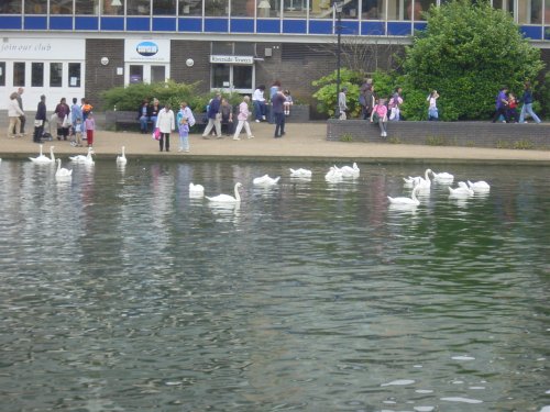 River Ouse Bedford
