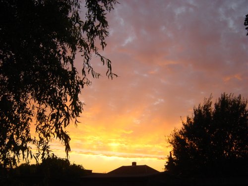 Sunset in my garden, Barton Le Clay, Bedfordshire