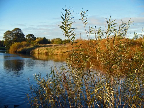 Evening at the Riverside, Chester-le-Street, Co Durham.