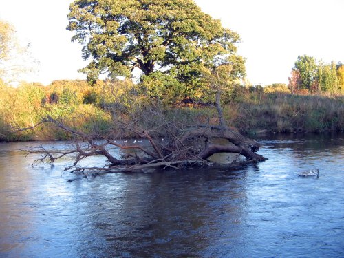 Evening at the Riverside, Chester-le-Street, Co Durham.