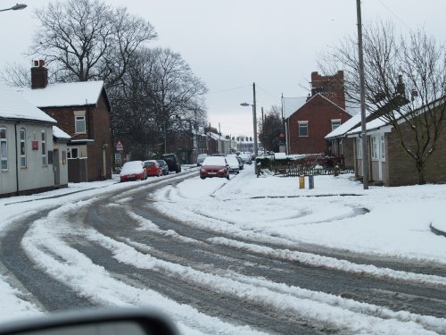 A very rare sight in New Holland